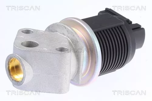 TRISCAN EGR Valve (881329009)