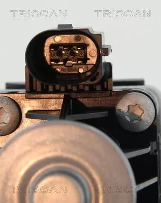 TRISCAN EGR Valve (881316036)