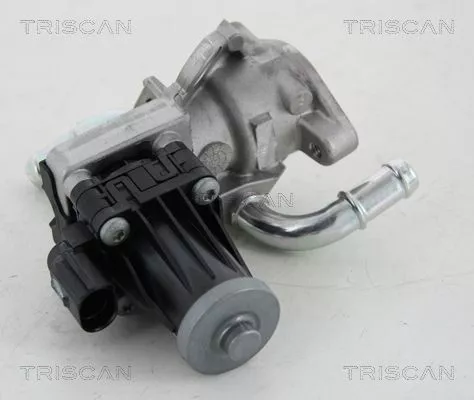 TRISCAN EGR Valve (881316036)