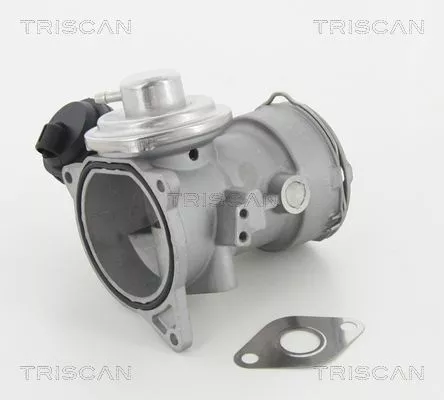 TRISCAN EGR Valve (881329056)