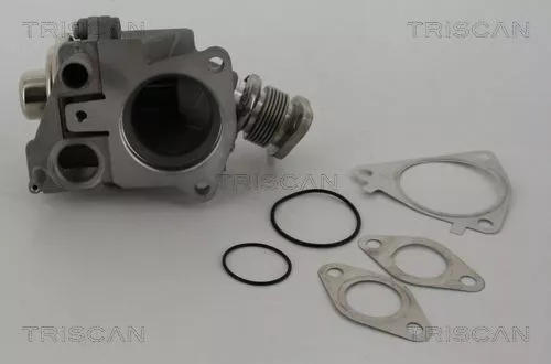 TRISCAN EGR Valve (881328019)