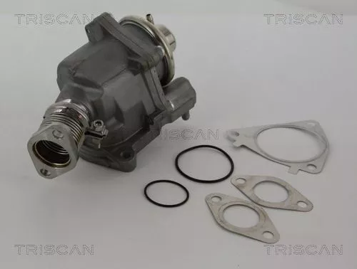 TRISCAN EGR Valve (881328019)