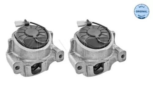 MEYLE Mounting, engine (1001991407/S)