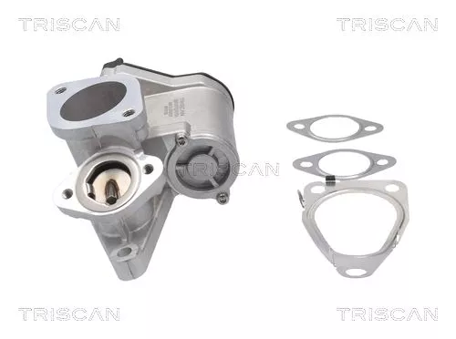 TRISCAN EGR Valve (881325201)