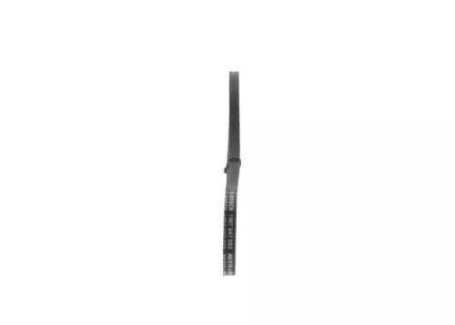 BOSCH V-Belt (1987947583)