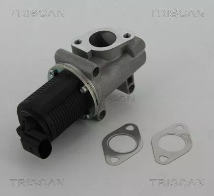 TRISCAN EGR Valve (881310005)