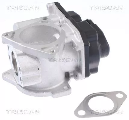TRISCAN EGR Valve (881329003)