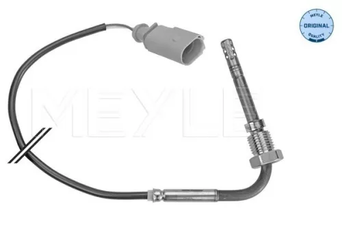 Sensor, exhaust gas temperature