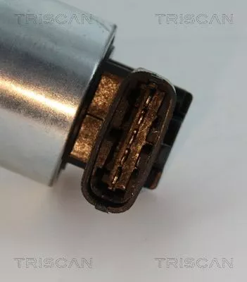 TRISCAN EGR Valve (881324102)