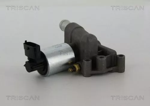 TRISCAN EGR Valve (881324102)