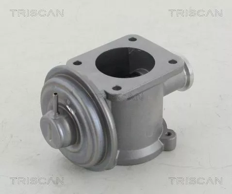 TRISCAN EGR Valve (881311003)