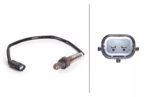 Oxygen Sensor