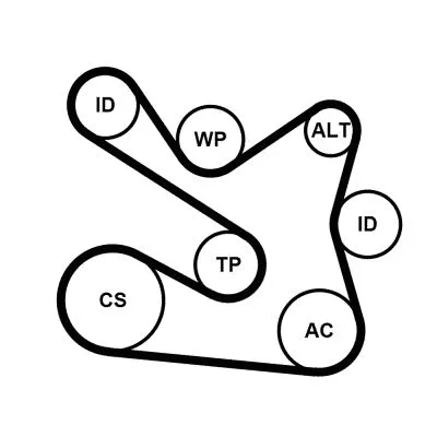 CONTINENTAL CTAM V-ribbed Belt Set (7PK1605K1)