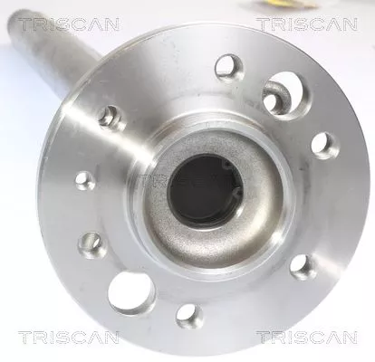 TRISCAN Wheel Bearing Kit (853023234)