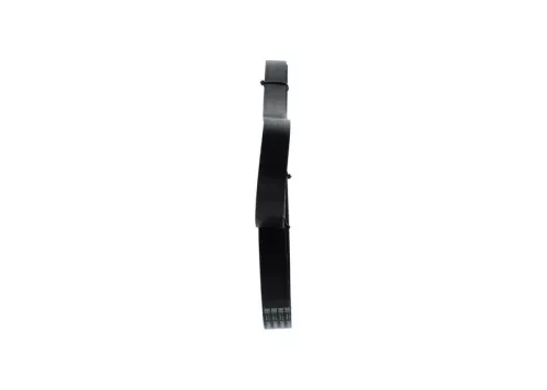 BOSCH V-ribbed Belt (1987945736)