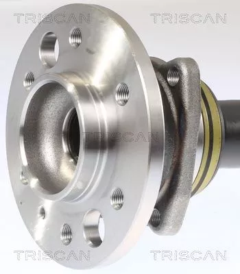 TRISCAN Wheel Bearing Kit (853023233)