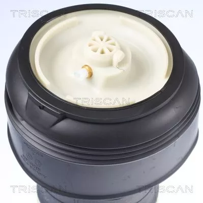 TRISCAN Air Spring, suspension (872011203)