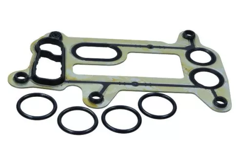 Gasket, oil cooler
