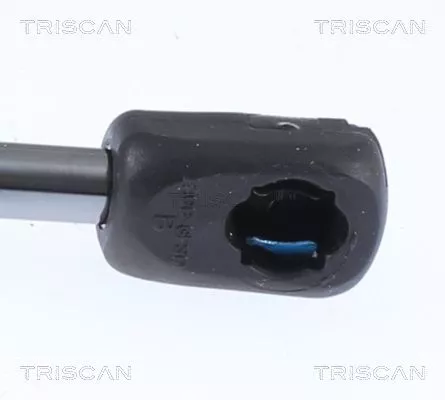 TRISCAN Gas Spring, boot/cargo area (871023297)