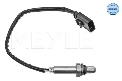 Oxygen Sensor