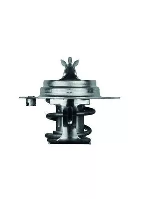 MAHLE Thermostat, coolant (TX788DS)