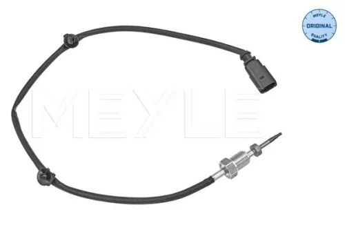 Sensor, exhaust gas temperature