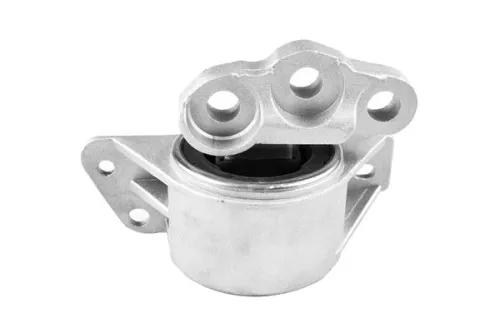 Camber Correction Screw