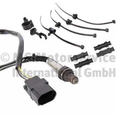 Oxygen Sensor