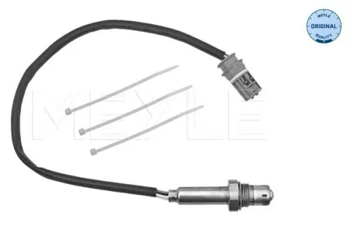 Oxygen Sensor