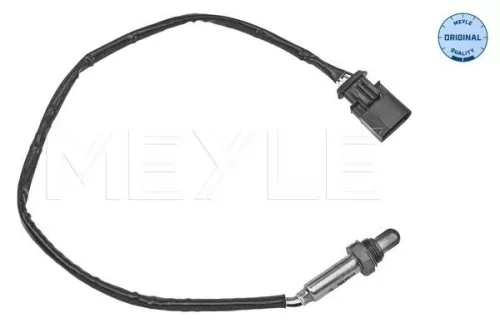 Oxygen Sensor