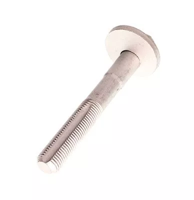Camber Correction Screw