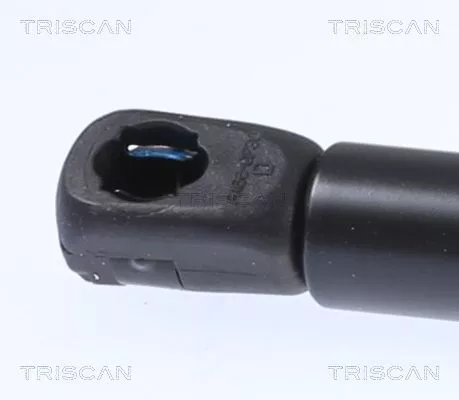 TRISCAN Gas Spring, bonnet (871029153)