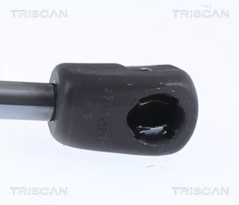 TRISCAN Gas Spring, bonnet (871029153)