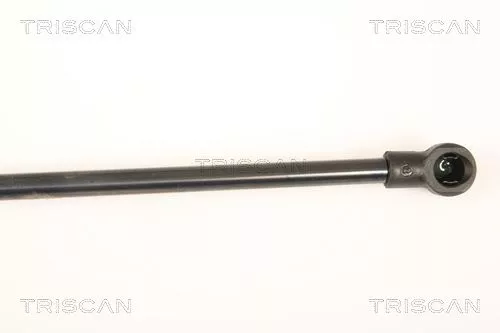 TRISCAN Gas Spring, boot/cargo area (871025245)