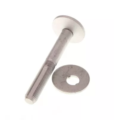 Camber Correction Screw