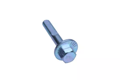 Camber Correction Screw