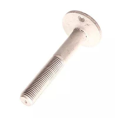 Camber Correction Screw