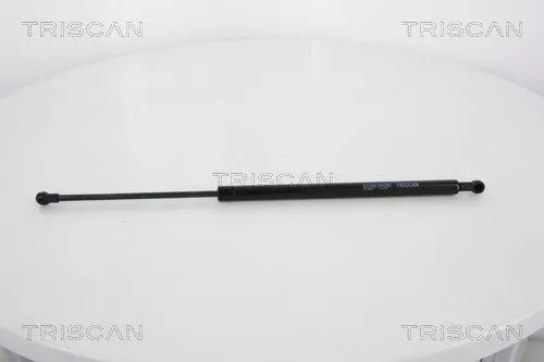 Gas Spring, boot/cargo area