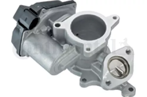 EGR Valve