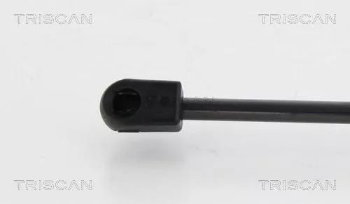TRISCAN Gas Spring, boot/cargo area (871024242)