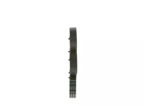 BOSCH V-Ribbed Belt (1987945983)