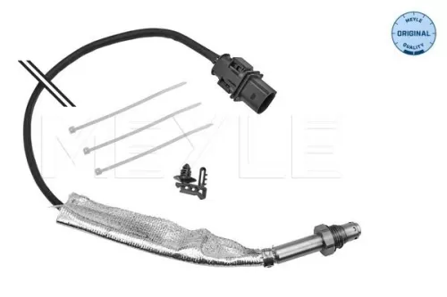 Oxygen Sensor