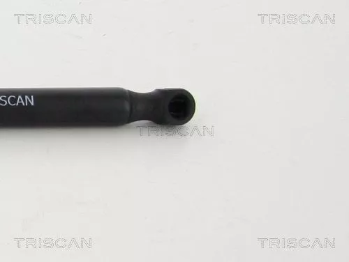TRISCAN Gas Spring, boot/cargo area (8710292033)