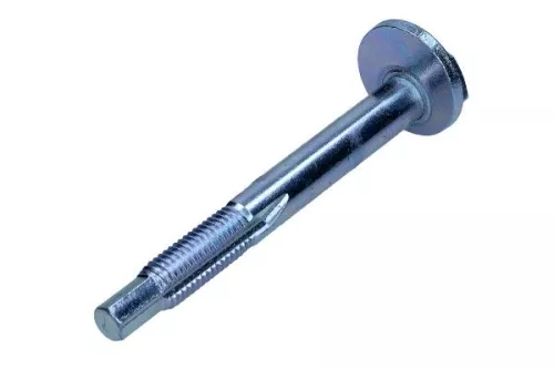 Camber Correction Screw