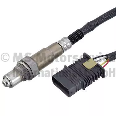 Oxygen Sensor