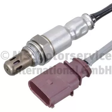 Oxygen Sensor