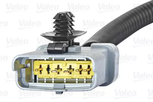 VALEO EGR Valve (700409)
