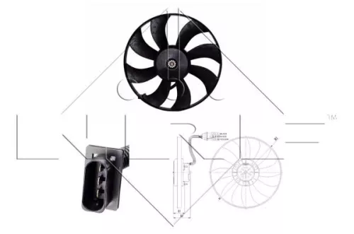Fan, engine cooling