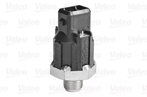 VALEO Knock Sensor (255400)
