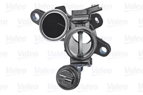 VALEO Throttle Body (700440)